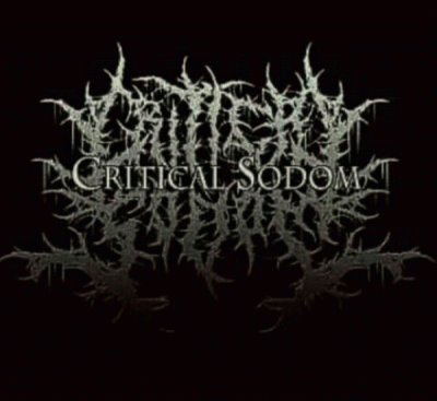 logo Critical Sodom